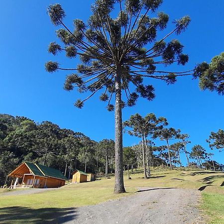 Casa De Campo Quinta Do Vale - Familia Urubici Exteriér fotografie