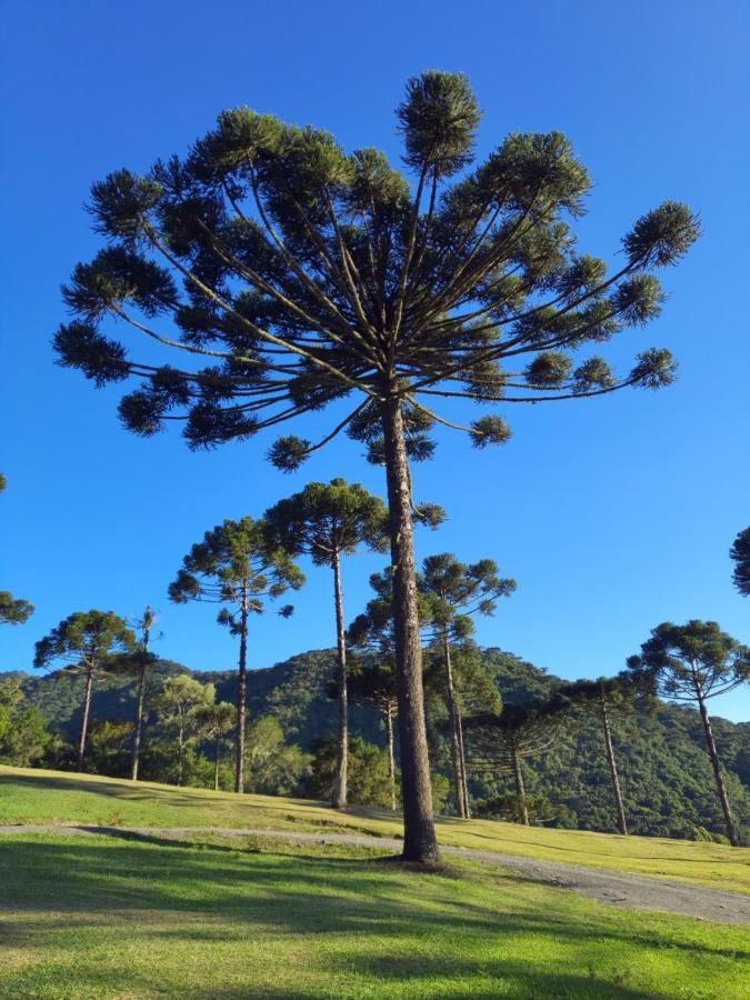 Casa De Campo Quinta Do Vale - Familia Urubici Exteriér fotografie