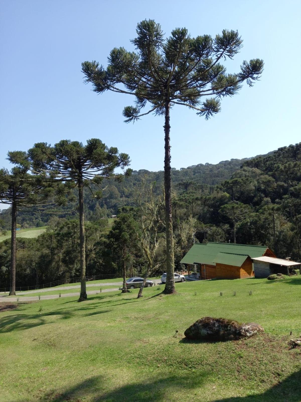 Casa De Campo Quinta Do Vale - Familia Urubici Exteriér fotografie