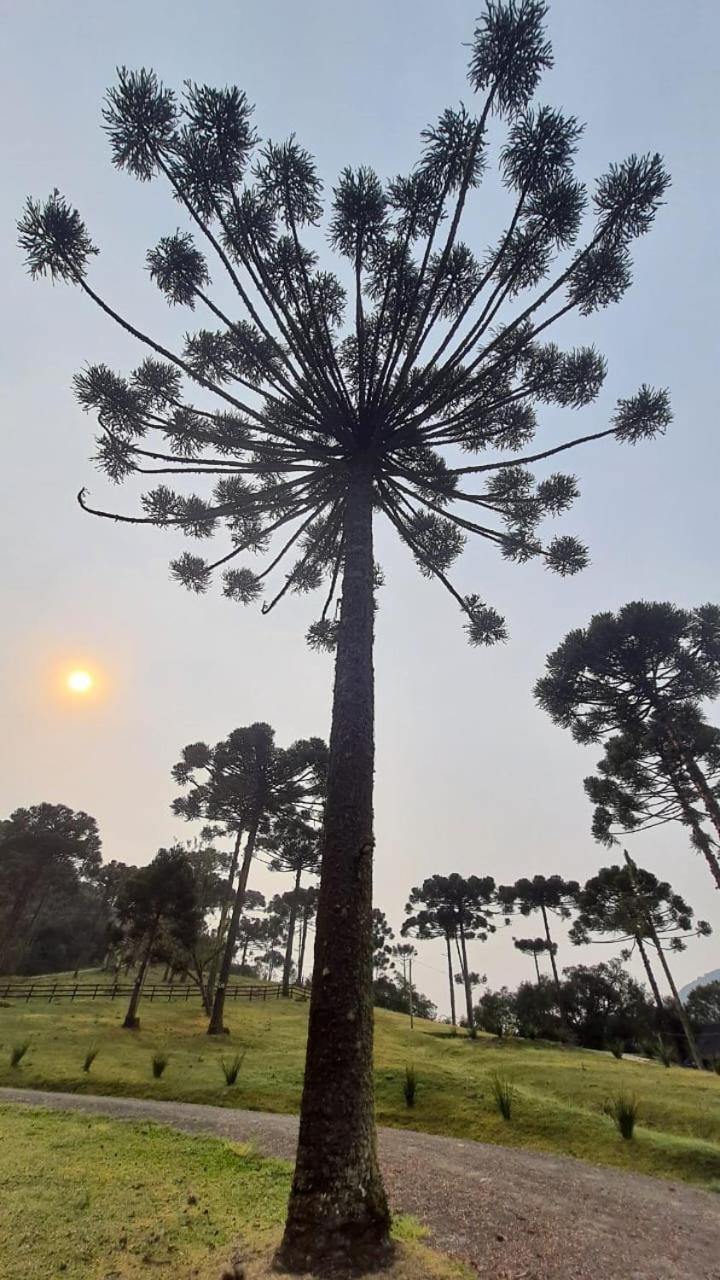 Casa De Campo Quinta Do Vale - Familia Urubici Exteriér fotografie